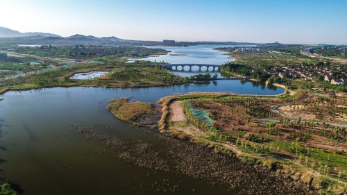 范阳河湿地