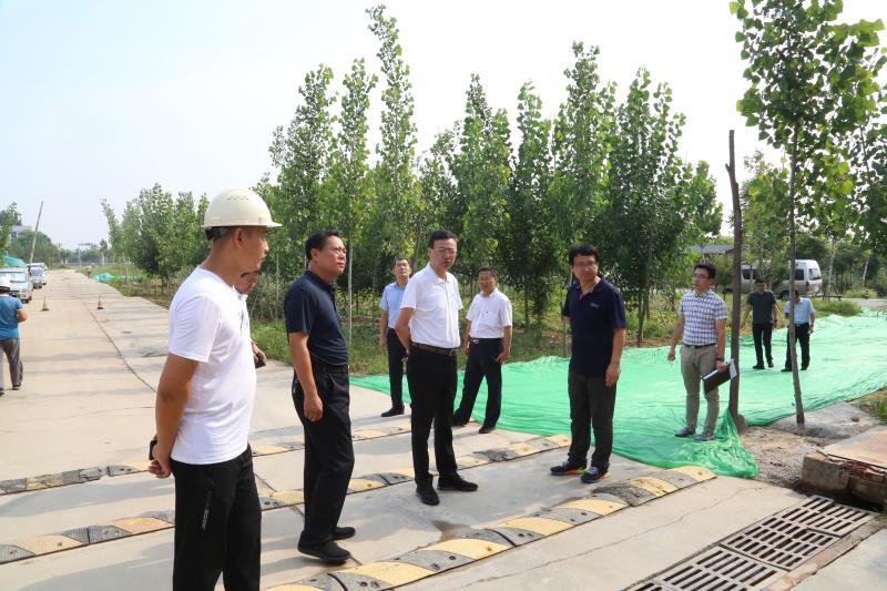 沙向东调研文昌湖区城乡环境大整治精细管理大提升,河长制湖长制及